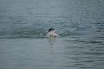 2009_margonin_057.jpg