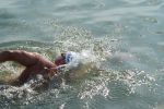 2009_margonin_071.jpg