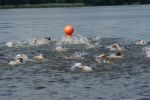 2009_borzatew_044.jpg