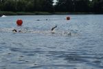 2009_borzatew_061.jpg