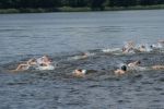 2009_borzatew_043.jpg