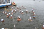 2011_chodziez_32.jpg