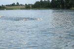 2010_margonin_060.jpg