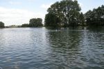 2010_margonin_058.jpg