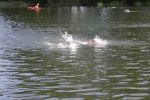 2010_margonin_070.jpg