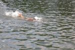 2010_margonin_083.jpg
