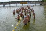2010_margonin_024.jpg
