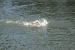 2010_margonin_097.jpg