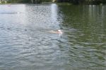 2010_margonin_075.jpg