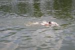2010_margonin_069.jpg