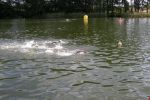 2010_margonin_063.jpg
