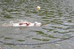 2010_margonin_079.jpg
