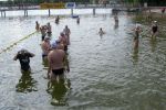 2010_margonin_016.jpg
