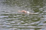 2010_margonin_088.jpg
