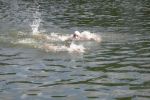 2010_margonin_071.jpg