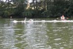 2010_margonin_037.jpg