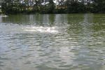 2010_margonin_062.jpg