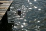 2010_margonin_077.jpg