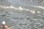 2010_margonin_091.jpg