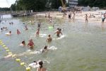 2010_margonin_053.jpg