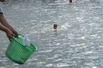 2010_margonin_086.jpg