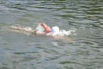 2010_margonin_076.jpg