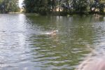 2010_margonin_068.jpg