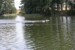 2010_margonin_051.jpg