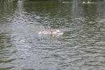 2010_margonin_078.jpg