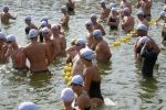 2010_margonin_031.jpg
