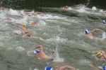 2008_19.jpg