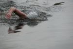 2008_06.jpg
