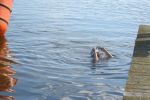 DSCN6530.JPG