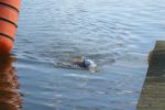 DSCN6529.JPG