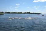 DSCN6825.JPG