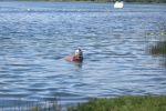 DSCN6772.JPG