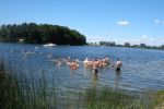 DSCN6711.JPG
