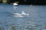 DSCN6729.JPG