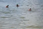 DSCN6898.JPG
