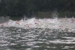 DSCN5983.JPG