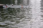 DSCN6039.JPG