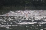 DSCN5982.JPG