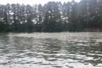 DSCN5985.JPG