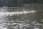 DSCN5987.JPG
