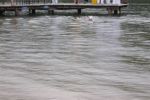 DSCN7235.jpg