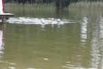 DSCN7262.jpg