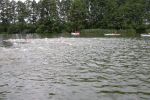 2011_margonin_034.jpg