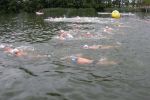 2011_margonin_033.jpg