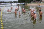 2011_margonin_029.jpg