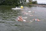 2011_margonin_032.jpg